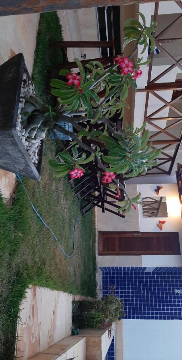 Barcelona Beach Residence image 14