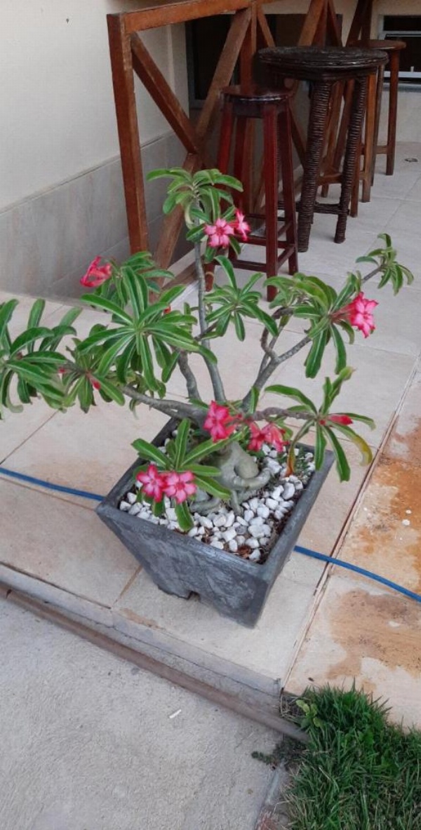 Barcelona Beach Residence image 15